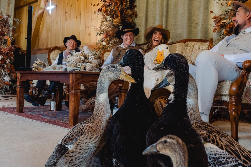 cowboy-country-hochzeit-koenig-und-kuh-salzburg1555-1024x683.jpg